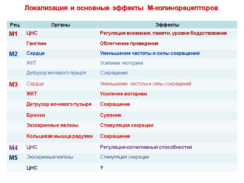 Локализация и основные эффекты  М-холинорецепторов